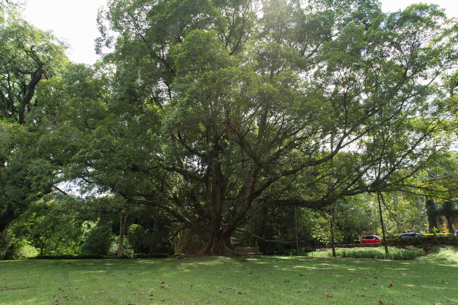 Fazenda Conceição do Barreiro - Foto 2