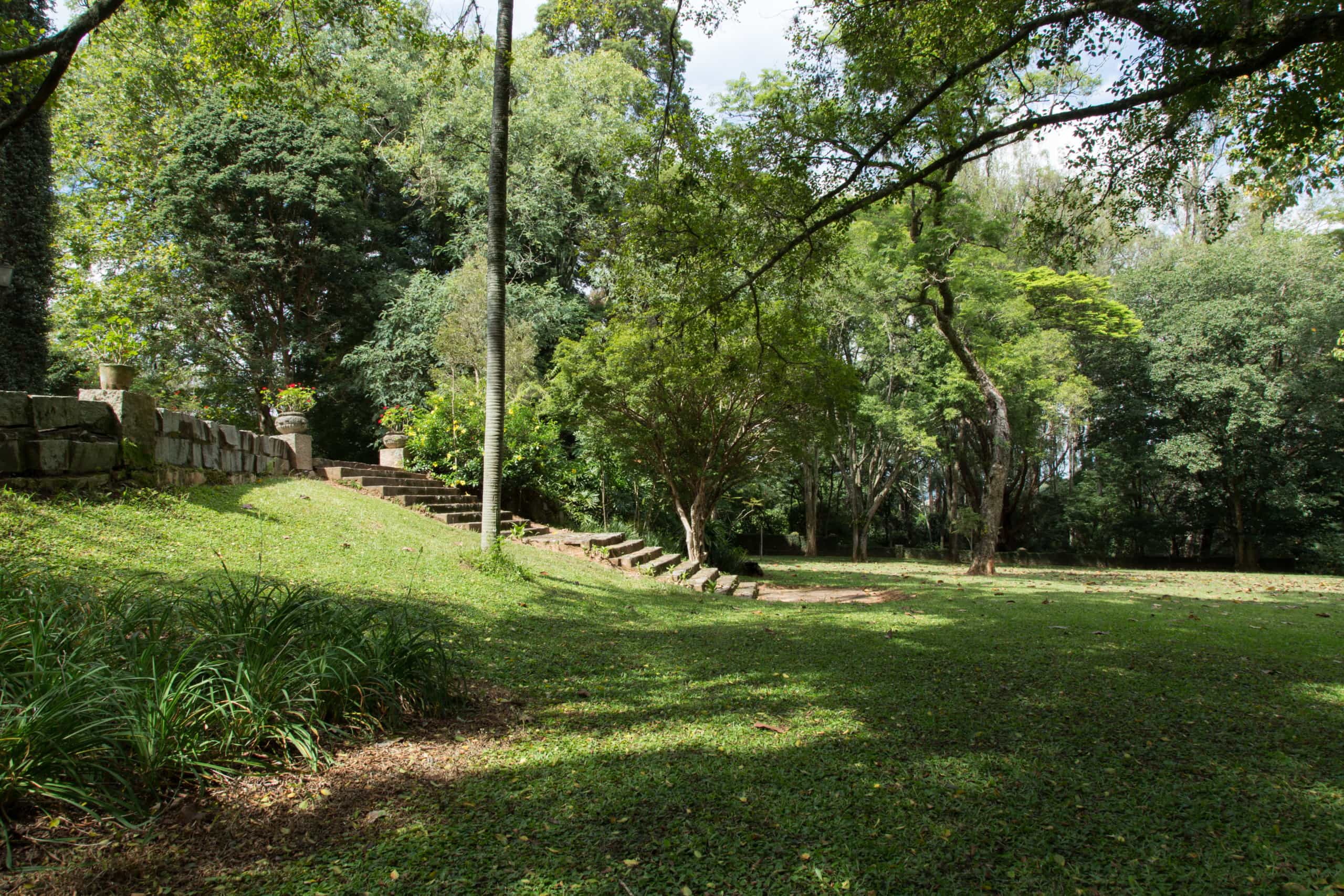 Fazenda Conceição do Barreiro - Foto 4