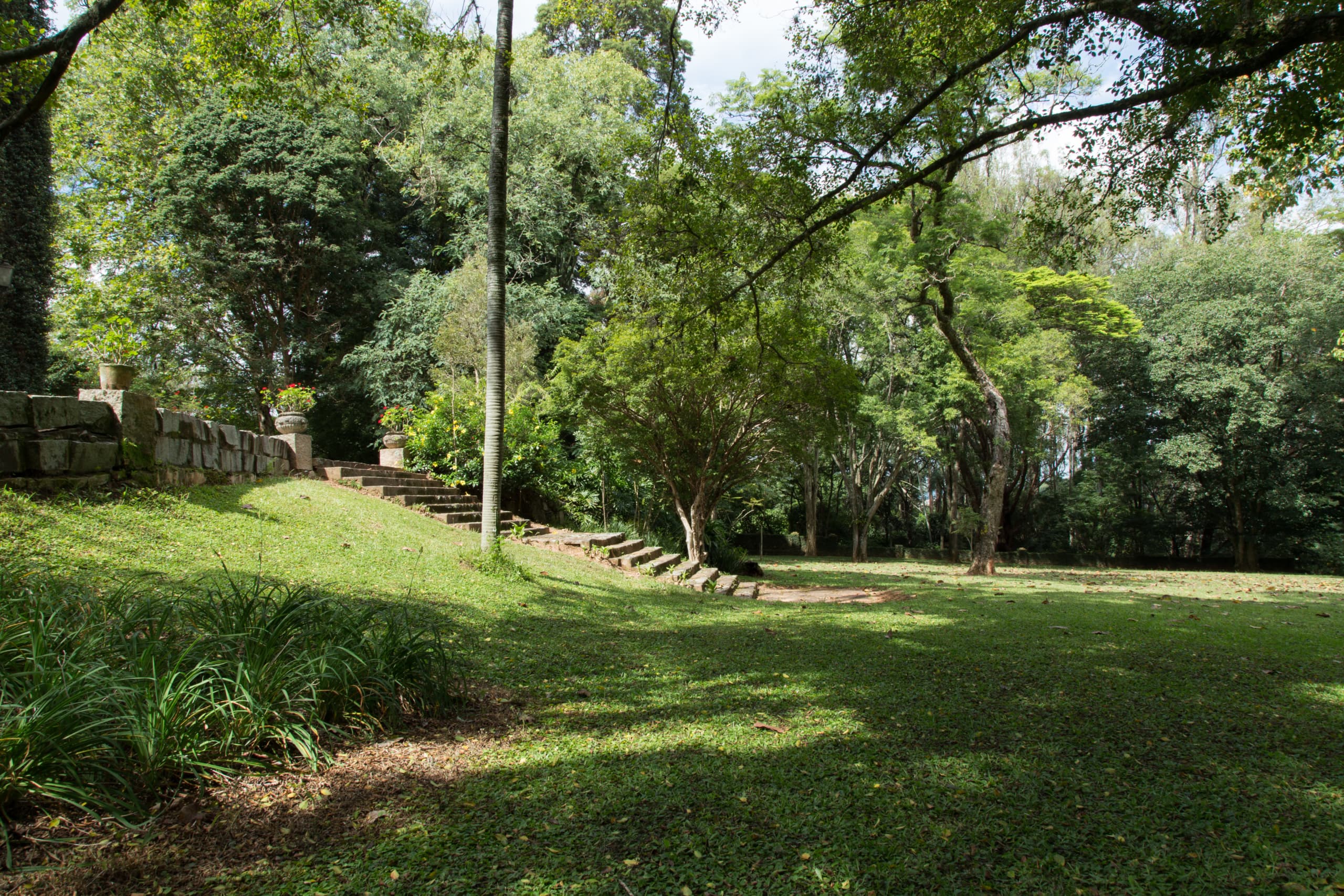 Fazenda Conceição do Barreiro - Foto 4