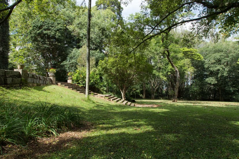 Fazenda Conceição do Barreiro - Foto 4